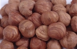 hazelnuts