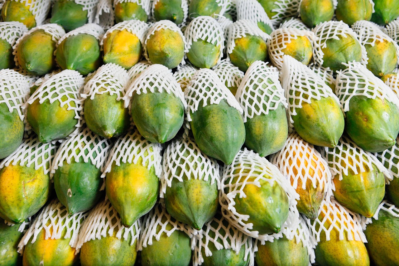 Plody papáji zabalené velkoobchod se sušeným ovocem Trias Chrudim