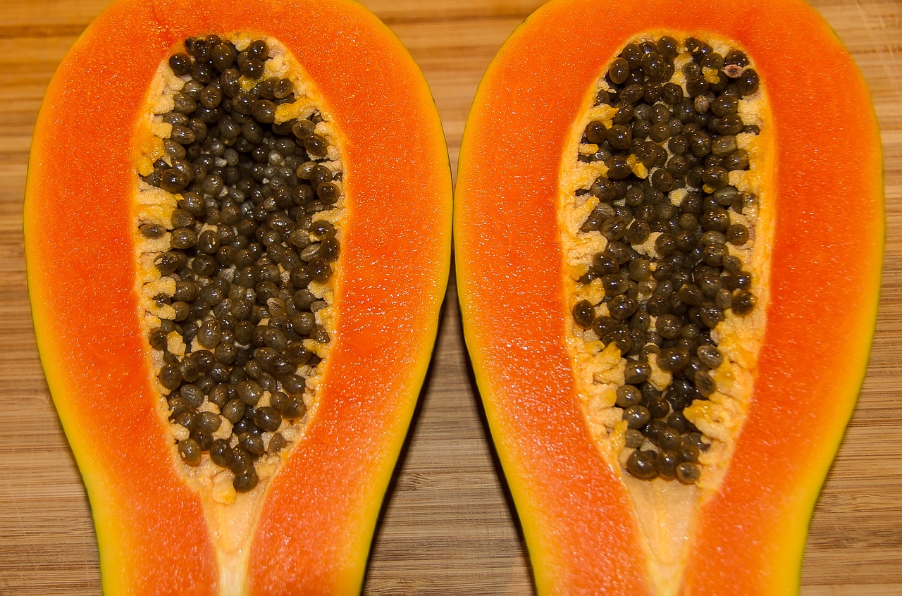 Plod papay ​velkoobchod se sušeným ovocem Trias Chrudim